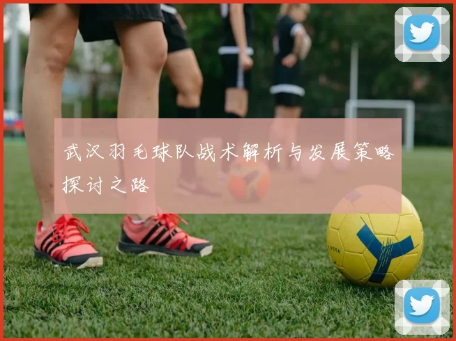 武汉羽毛球队战术解析与发展策略探讨之路