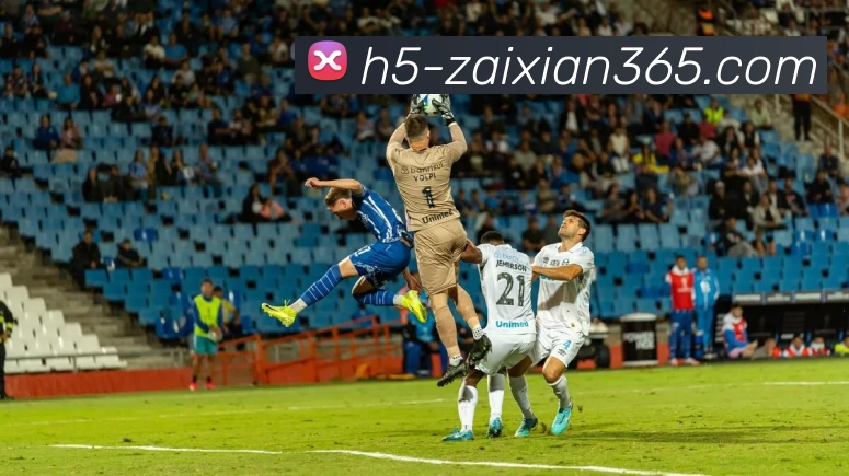 多媒体互动体验